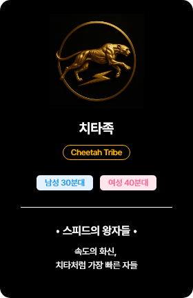 치타족