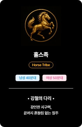 홀스족